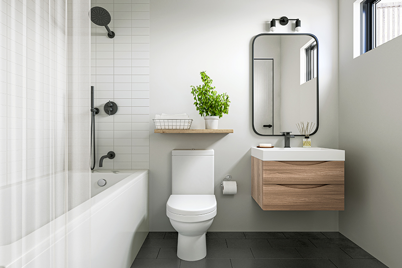 ADU_Interior_Bathroom_Space[1]